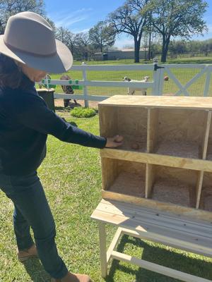 Show full view: Zylina Best Rest Table with Ramp Nesting Box, 68 x20 x 20-in slide 6 of 6