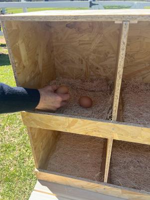 Show full view: Zylina Best Rest 12 Bay Bird Nesting Box, 68 x 13 x 25-in slide 7 of 9