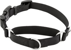 Frisco Solid Nylon Martingale Dog Collar with Buckle, Black, Medium: 17 to 20-in neck, 1-in wide