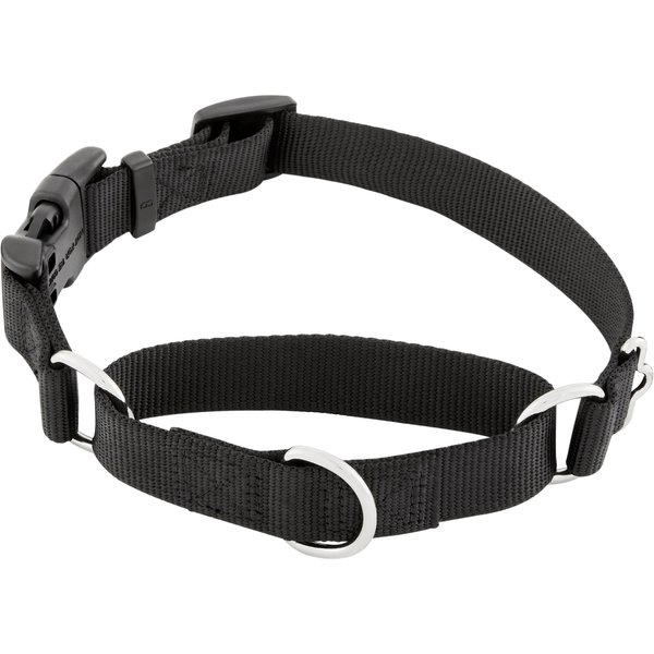 FRISCO Solid Nylon Martingale Dog Collar with Buckle, Black, Medium 17
