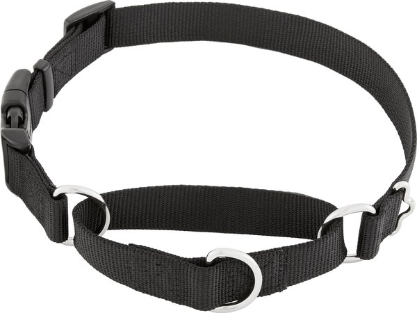 Frisco Solid Nylon Martingale Dog Collar with Buckle, Black, Large: 20 to 25-in neck, 1-in wide slide 1 of 8