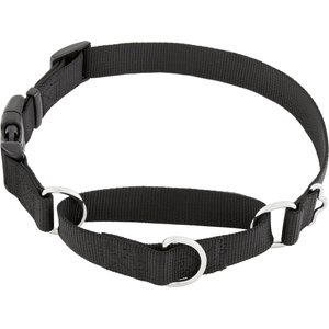 Frisco Solid Nylon Martingale Dog Collar with Buckle, Black, Large: 20 to 25-in neck, 1-in wide