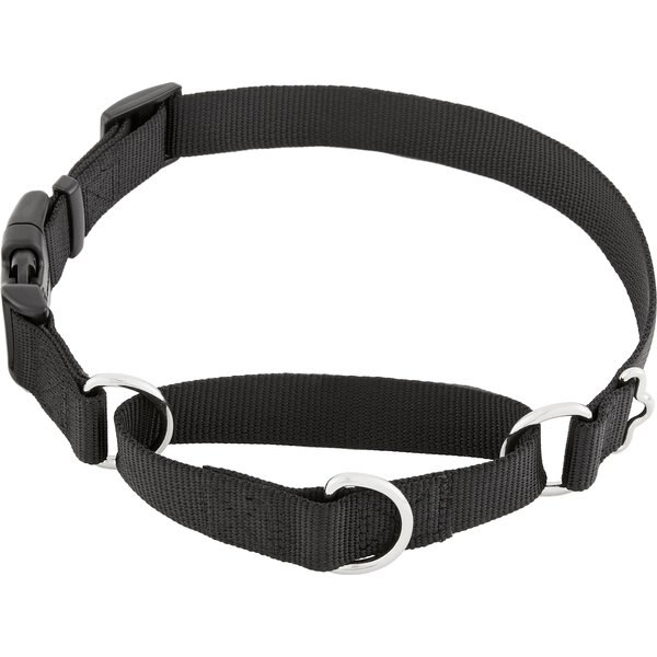FRISCO Solid Nylon Martingale Dog Collar with Buckle, Black, Large 20