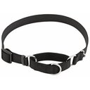 Frisco Solid Nylon Slip-On Martingale Dog Collar, Black, Large: 17 to 25-in neck, 1-in wide