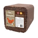 Kent / Blue Seal Home Fresh Extra Egg Holiday Spice Chicken Treat, 20-lb block
