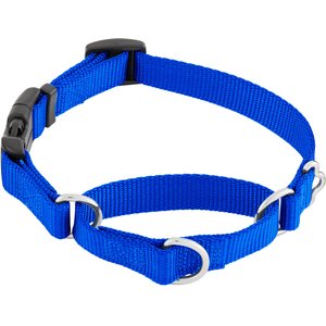 Frisco Solid Nylon Martingale Dog Collar with Buckle, Blue, Small: 14 to 17-in neck, 3/4-in wide