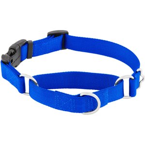 Frisco Solid Nylon Martingale Dog Collar with Buckle, Blue, Medium: 17 to 20-in neck, 1-in wide