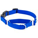 Frisco Solid Nylon Martingale Dog Collar with Buckle, Blue, Medium: 17 to 20-in neck, 1-in wide