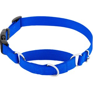 Frisco Solid Nylon Martingale Dog Collar with Buckle, Blue, Large: 20 to 25-in neck, 1-in wide