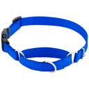 Frisco Solid Nylon Martingale Dog Collar with Buckle, Blue, Large: 20 to 25-in neck, 1-in wide