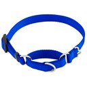 Frisco Solid Nylon Slip-On Martingale Dog Collar, Blue, Small: 13 to 18-in neck, 3/4-in wide