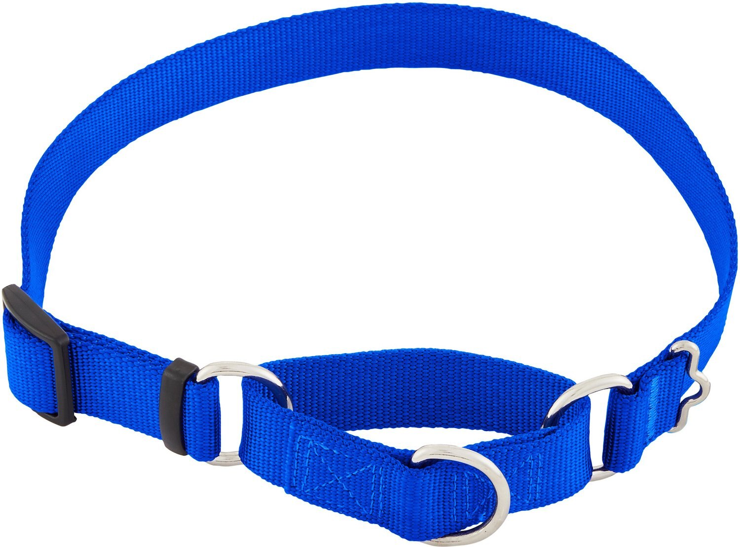 FRISCO Solid Nylon SlipOn Martingale Dog Collar, Blue, Large 17 to 25in neck, 1in wide