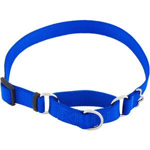 Frisco Solid Nylon Slip-On Martingale Dog Collar, Blue, Large: 17 to 25-in neck, 1-in wide