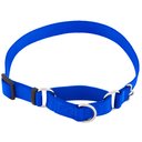 Frisco Solid Nylon Slip-On Martingale Dog Collar, Blue, Large: 17 to 25-in neck, 1-in wide