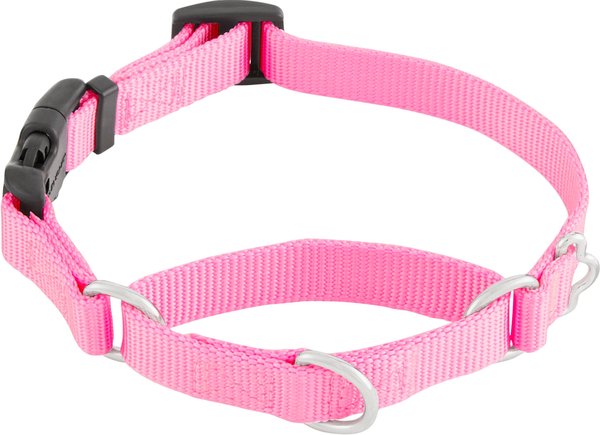 Frisco Solid Nylon Martingale Dog Collar with Buckle, Pink, Small: 14 to 17-in neck, 3/4-in wide slide 1 of 8