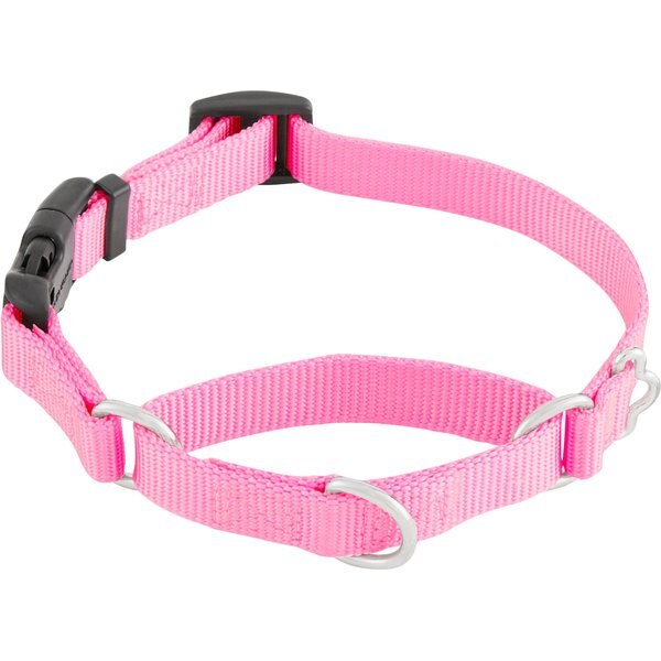 FRISCO Solid Nylon Martingale Dog Collar with Buckle, Pink, Small 14 to 17in neck, 3/4in wide