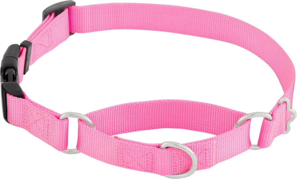 FRISCO Solid Nylon Martingale Dog Collar with Buckle, Pink, Large 20