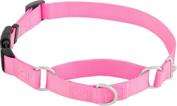 Frisco Solid Nylon Martingale Dog Collar with Buckle, Pink, Large: 20 to 25-in neck, 1-in wide slide 1 of 8