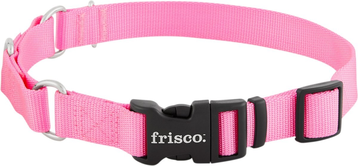 FRISCO Solid Nylon Martingale Dog Collar with Buckle, Pink, Large 20