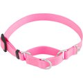 Frisco Solid Nylon Slip-On Martingale Dog Collar, Pink, Small: 13 to 18-in neck, 3/4-in wide