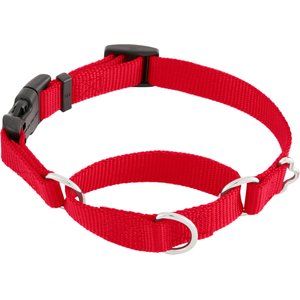 Frisco Solid Nylon Martingale Dog Collar with Buckle, Red, Small: 14 to 17-in neck, 3/4-in wide