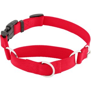 Frisco Solid Nylon Martingale Dog Collar with Buckle, Red, Medium: 17 to 20-in neck, 1-in wide