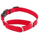 Frisco Solid Nylon Martingale Dog Collar with Buckle, Red, Medium: 17 to 20-in neck, 1-in wide