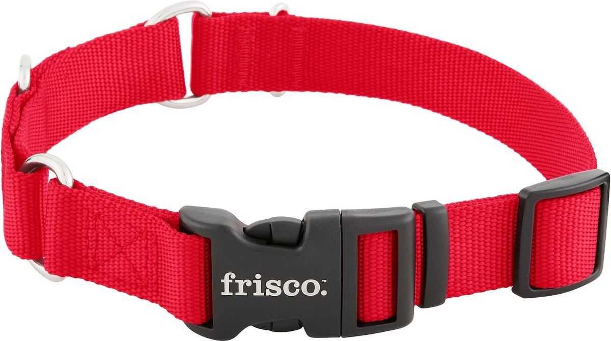 FRISCO Solid Nylon Martingale Dog Collar with Buckle, Red, Medium 17