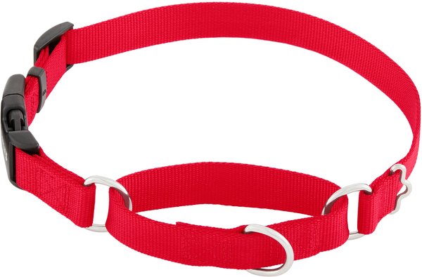 Frisco Solid Nylon Martingale Dog Collar with Buckle, Red, Large: 20 to 25-in neck, 1-in wide slide 1 of 8