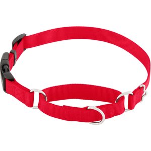 Frisco Solid Nylon Martingale Dog Collar with Buckle, Red, Large: 20 to 25-in neck, 1-in wide