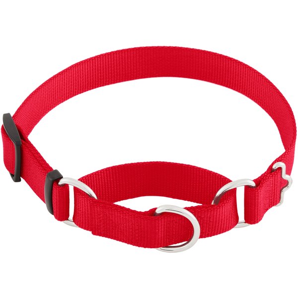 PETSAFE Quick Snap Buckle Nylon Martingale Dog Collar, Red, Medium 11 to 15in neck, 3/4in