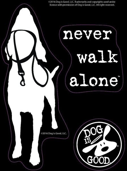 Dog is Good "Never Camp Alone" Car Sticker