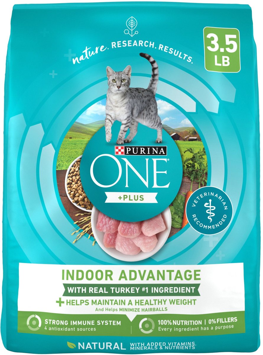 What is the best dry 2025 cat food on the market