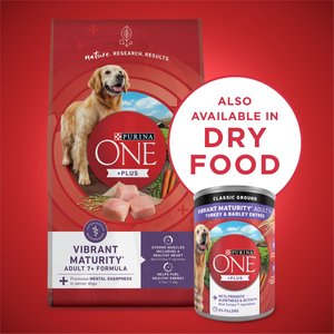 Purina ONE +Plus Adult Classic Ground Vibrant Maturity Senior Adult 7+ Turkey & Barley Entree Canned Dog Food, 13-oz, case of 12