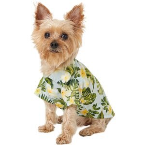 Dog Outfits for Every Spring Occasion