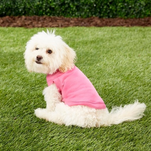 Frisco Basic Dog & Cat T-Shirt, Pink, Small