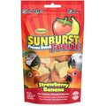 Higgins Sunburst Freeze-Dried Fruit Strawberry Banana Bird Treats, .5-oz bag