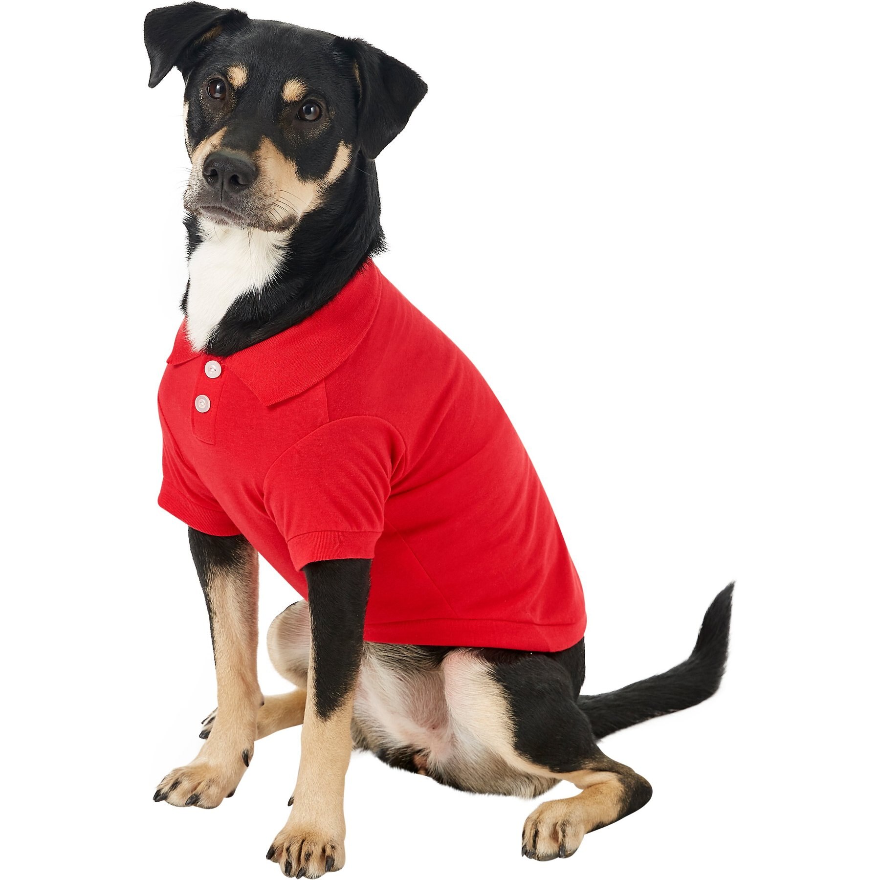 Discontinued - FRISCO Classic Dog Polo Shirt, Heather Gray
