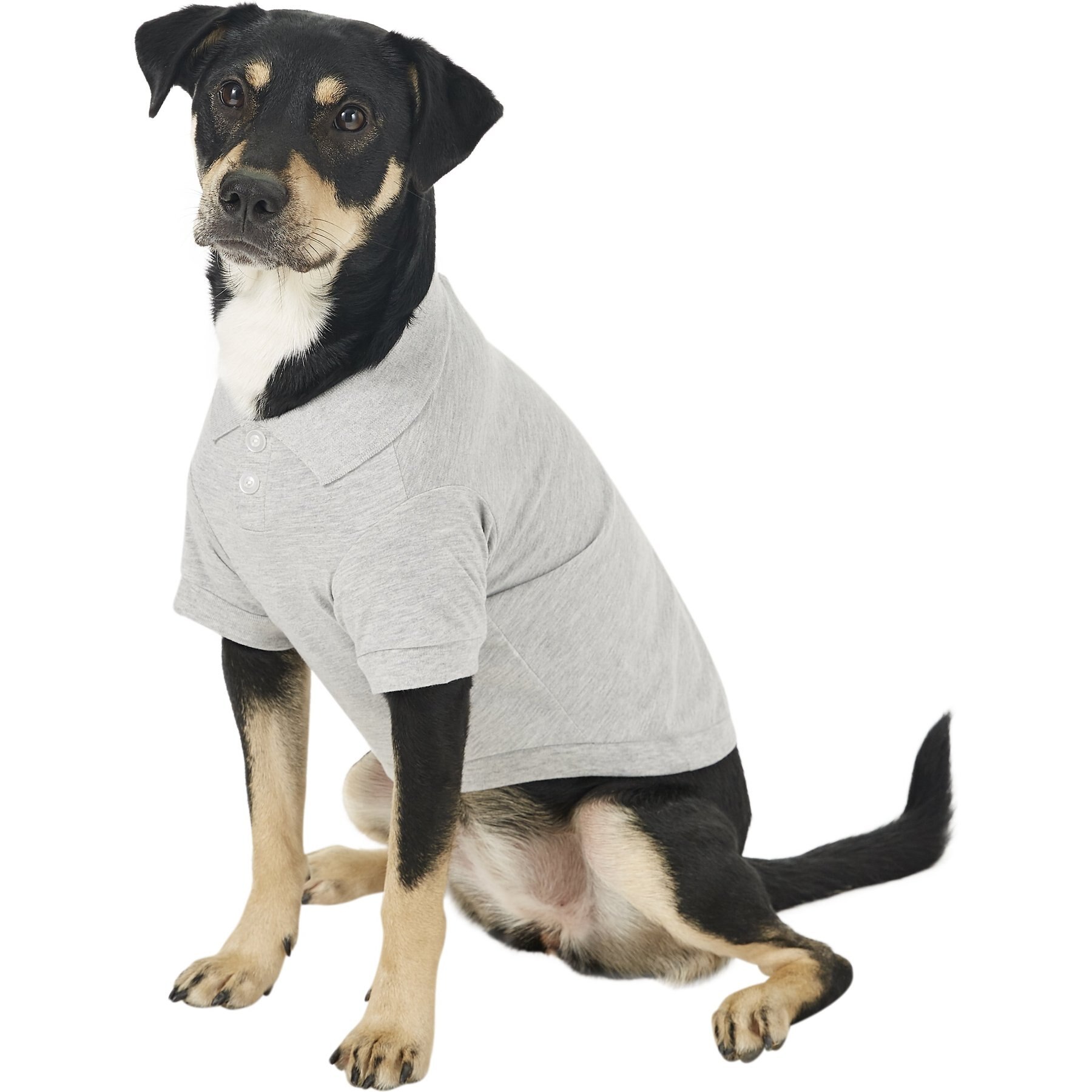 NastyDog OnlineStore