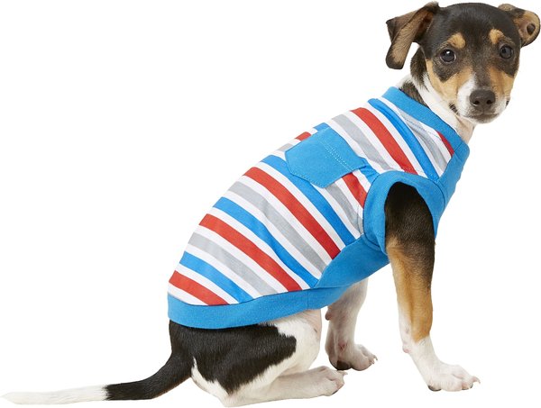 FRISCO Striped Dog T-Shirt, Red White & Blue, X-Small - Chewy.com