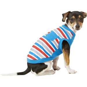 Types of dog clothes and precautions that newbies must see