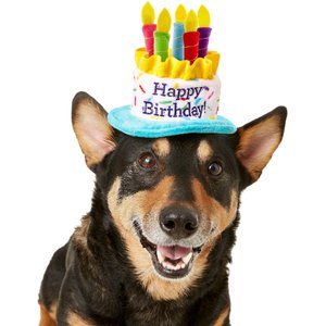 Frisco Birthday Cake Dog & Cat Hat, X-Small/Small