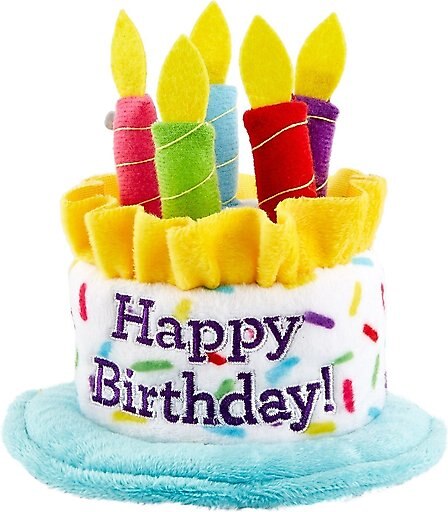 Frisco Birthday Cake Dog & Cat Hat, X-Small/Small