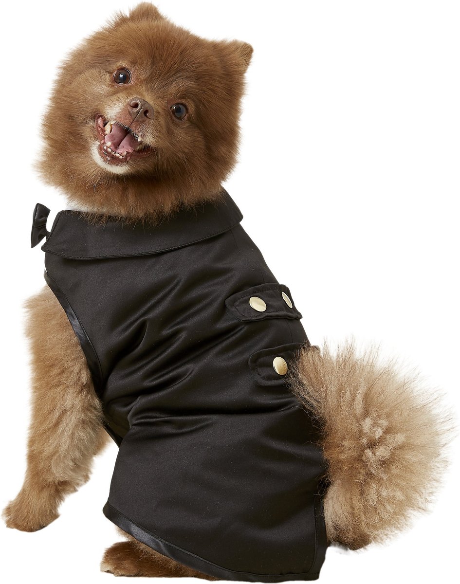 A brown puffy dog dressed in a formal tuxedo