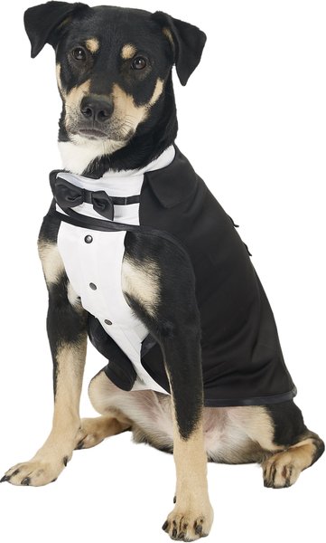 Frisco Formal Dog & Cat Tuxedo, Black, Large slide 1 of 9
