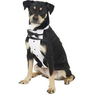 Frisco Formal Dog & Cat Tuxedo, Black, Large