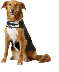 Frisco Formal Dog & Cat Tuxedo, Black, X-Large