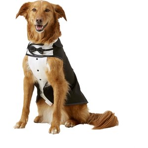 Frisco Formal Dog & Cat Tuxedo, Black, X-Large