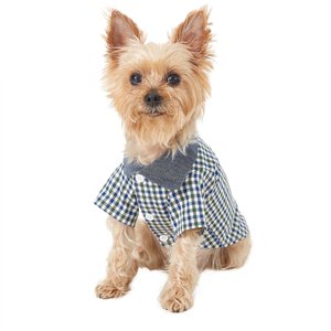 Dog Outfits for Every Spring Occasion