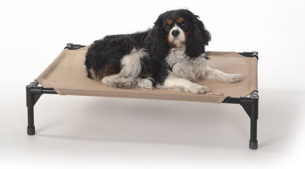 Chewy elevated fashion pet bed